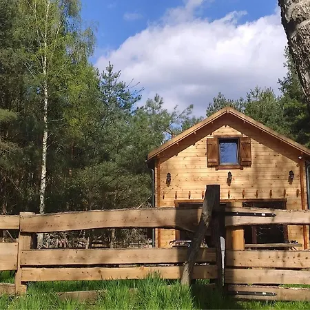 Przystan Zakapiora *