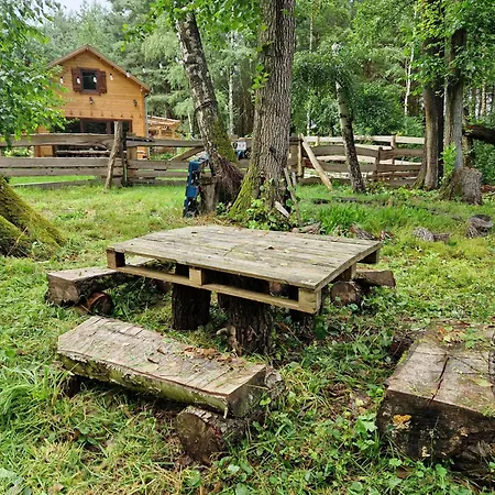 Przystan Zakapiora Muchocin